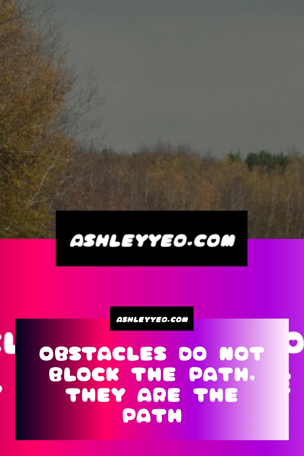 Obstacles Do Not Block the Path, They Are the Path